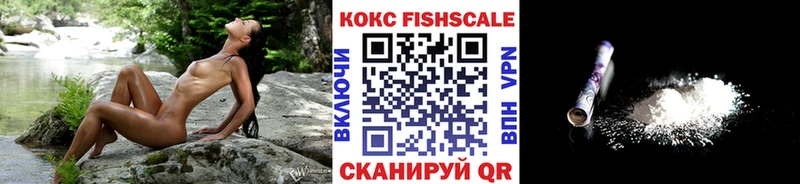 Кокаин FishScale как найти закладки Коркино
