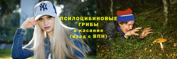 эйфоретик Алексин